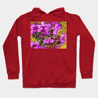 Kirstenbosch Gardens. Flowers. Hoodie